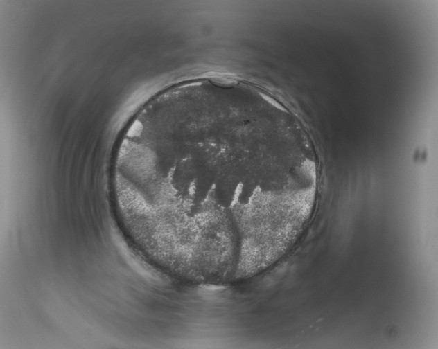 X0000112360055200909101307