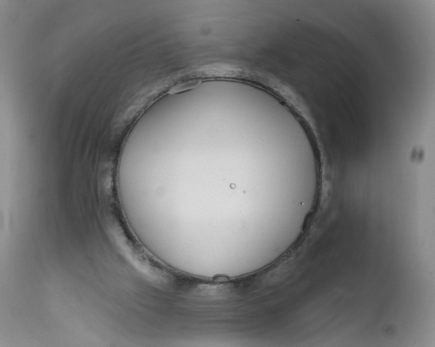 X0000112360057200909101307