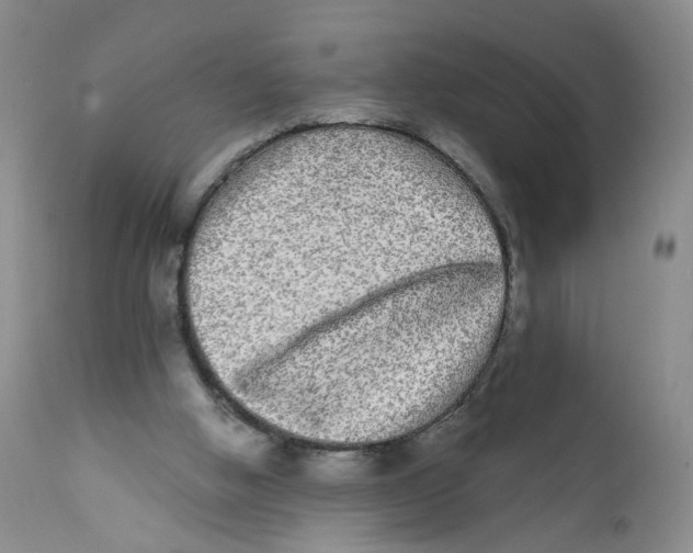 X0000112360058200909101307