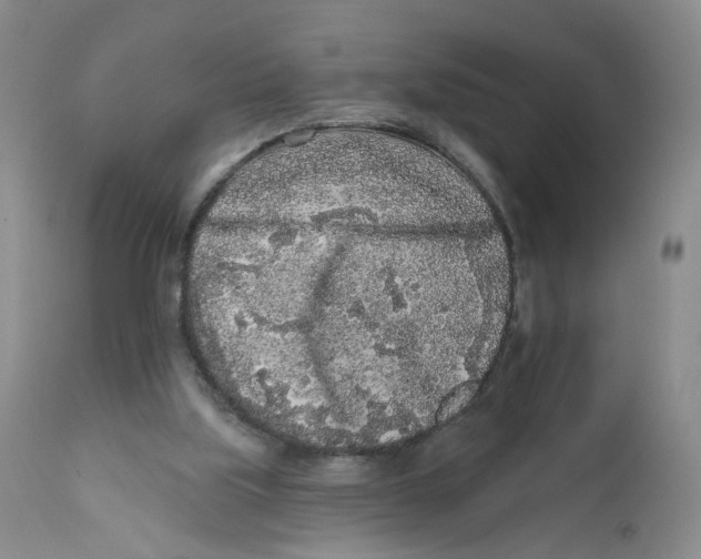 X0000112360059200909101307