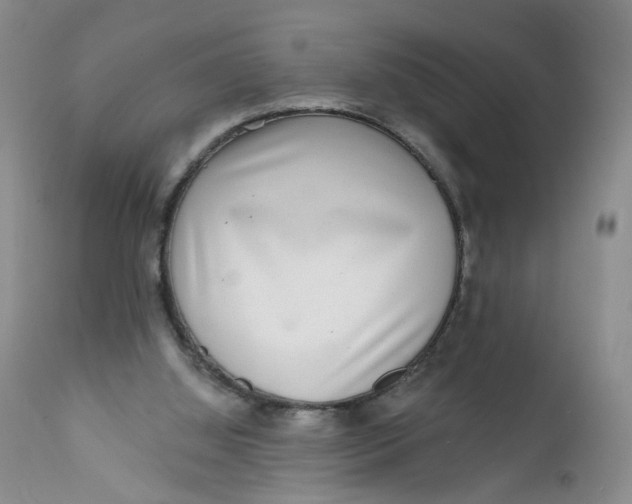 X0000112360060200909101307