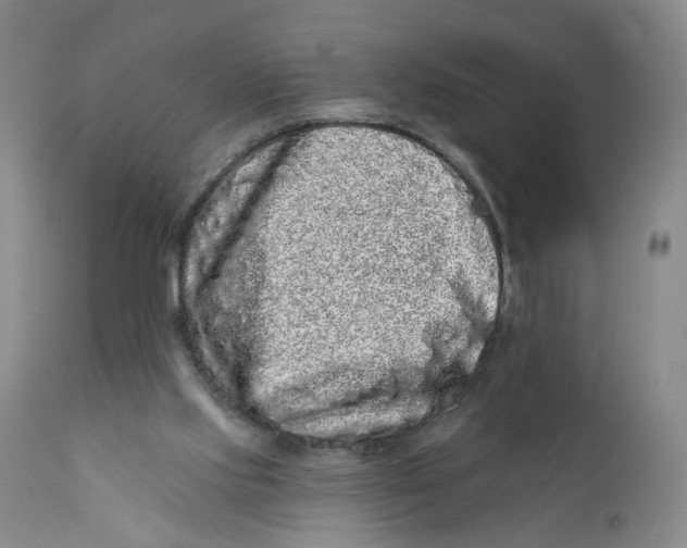 X0000112360061200909101307