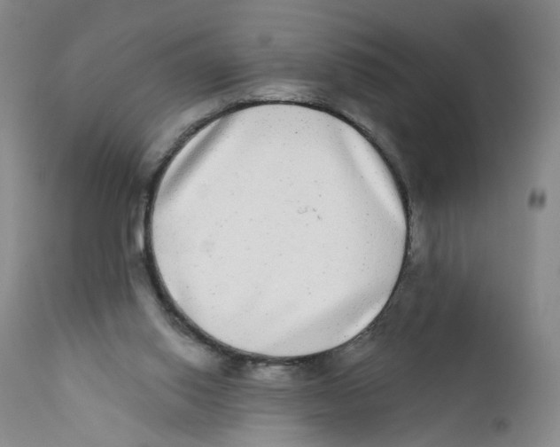 X0000112360062200909101307
