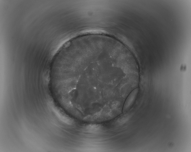 X0000112360063200909101307