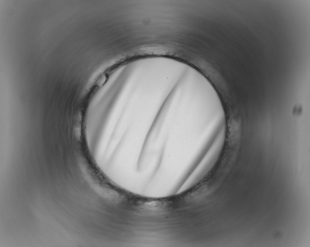 X0000112360064200909101307