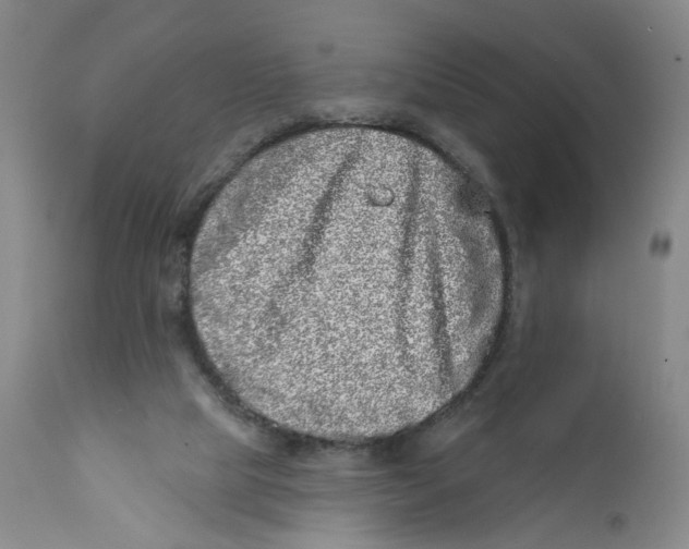 X0000112360065200909101308