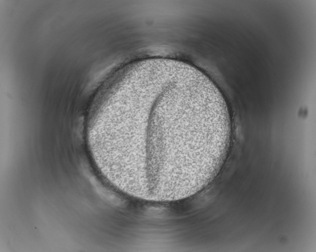 X0000112360066200909101308