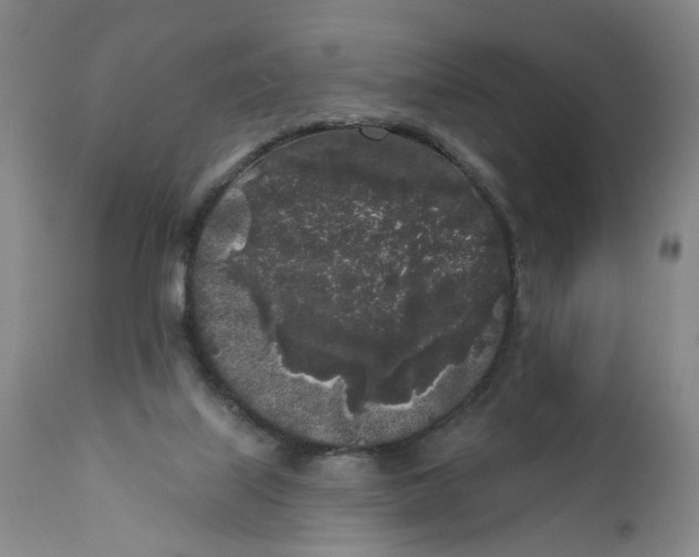 X0000112360067200909101308