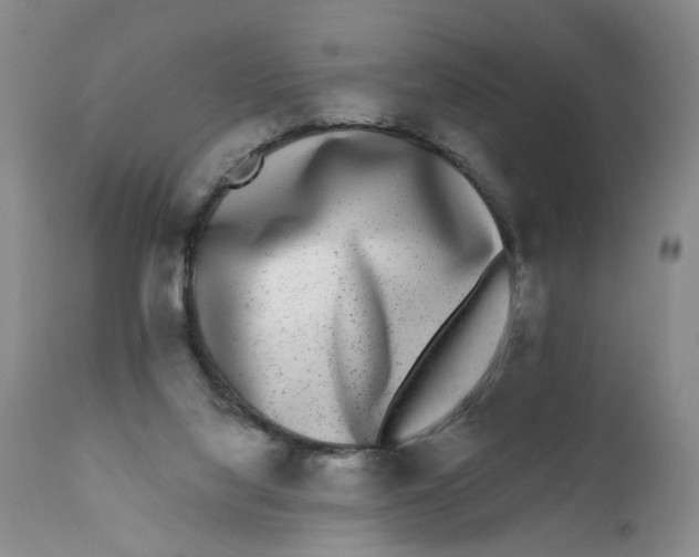 X0000112360068200909101308