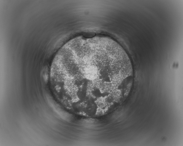 X0000112360069200909101308