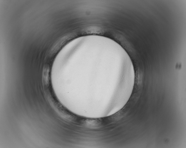 X0000112360070200909101308