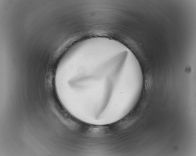 X0000112360072200909101308