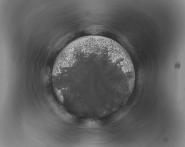 X0000112360073200909101308