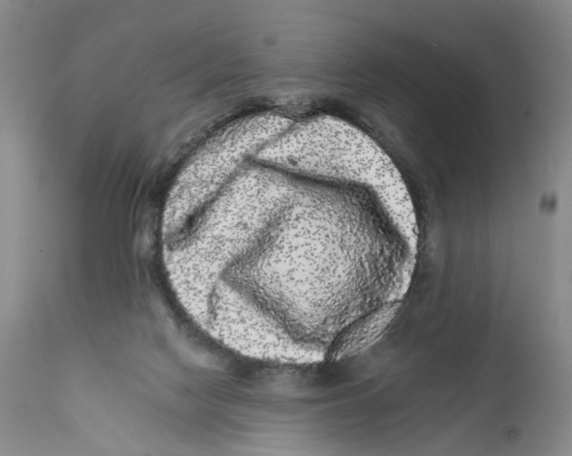 X0000112360074200909101308