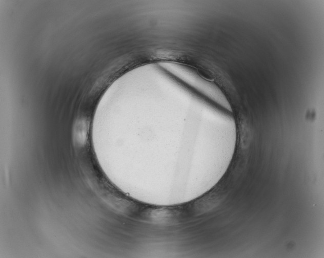 X0000112360075200909101308