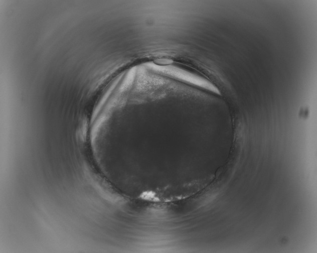 X0000112360076200909101308