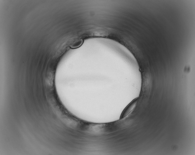 X0000112360078200909101308