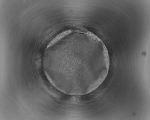 X0000112360080200909101308