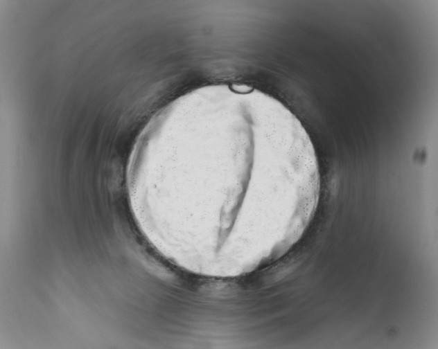 X0000112360081200909101308