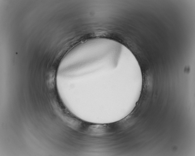X0000112360082200909101308