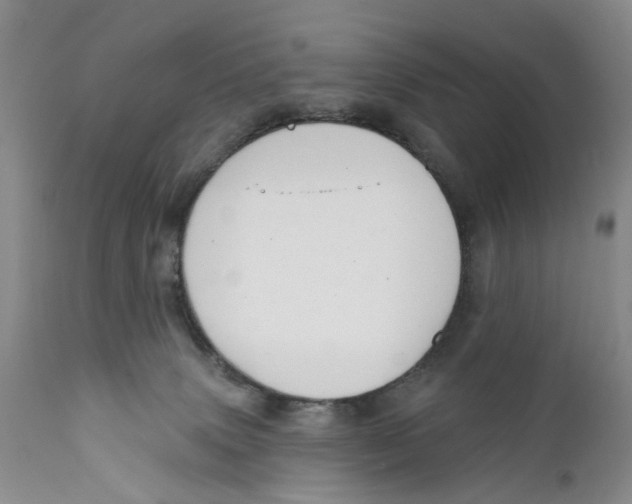 X0000112360083200909101308