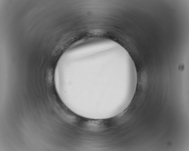X0000112360086200909101308
