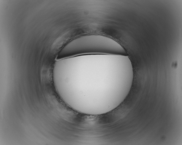 X0000112360088200909101308