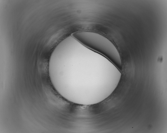 X0000112360092200909101308