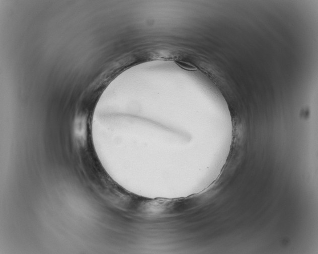 X0000112360094200909101308