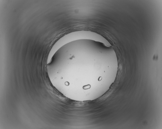X0000112360096200909101308