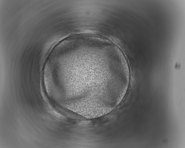 X0000112360097200909101307