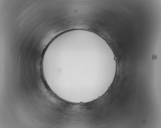 X0000112360098200909101307