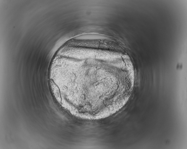 X0000112360099200909101307
