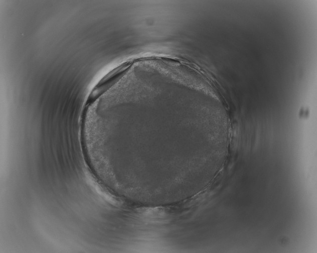 X0000112360100200909101307