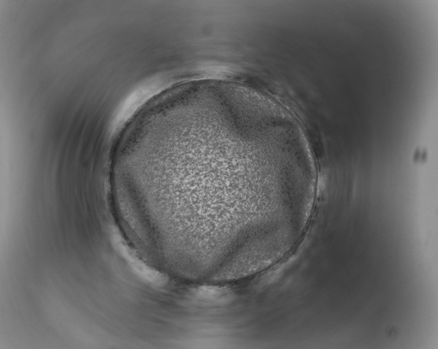 X0000112360101200909101307