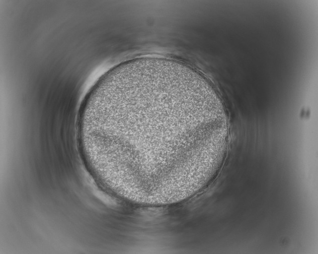 X0000112360102200909101307