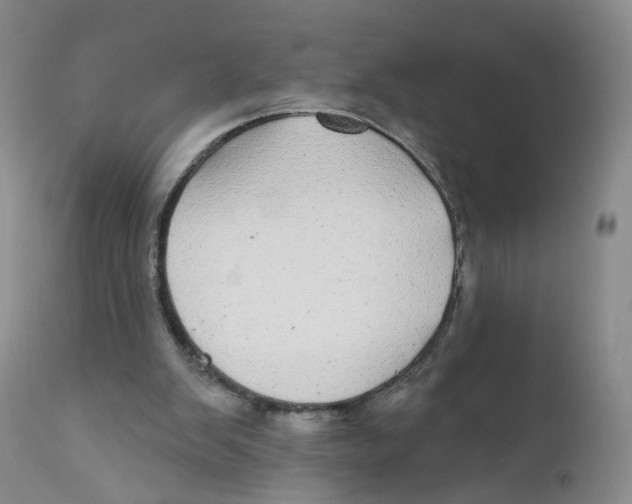 X0000112360103200909101307