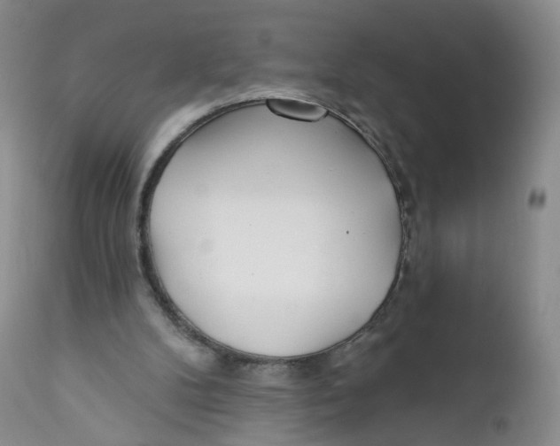 X0000112360104200909101307