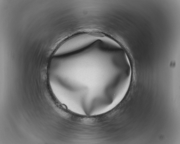 X0000112360105200909101307