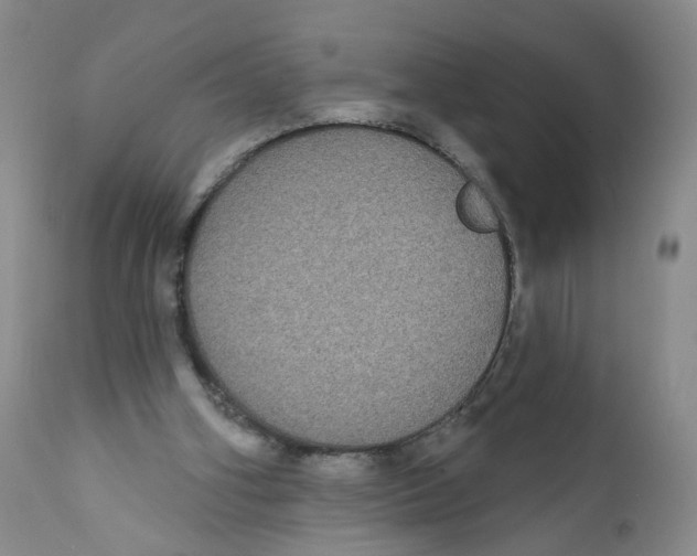 X0000112360106200909101307