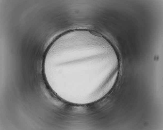 X0000112360107200909101307