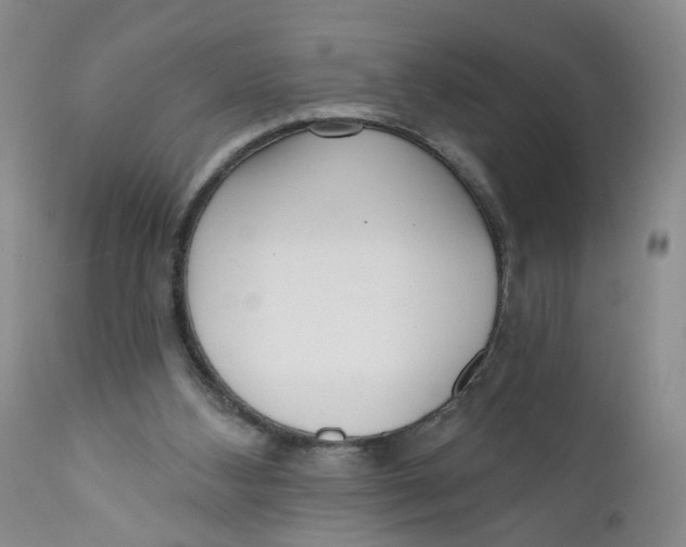 X0000112360108200909101307