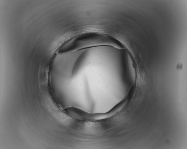 X0000112360109200909101307