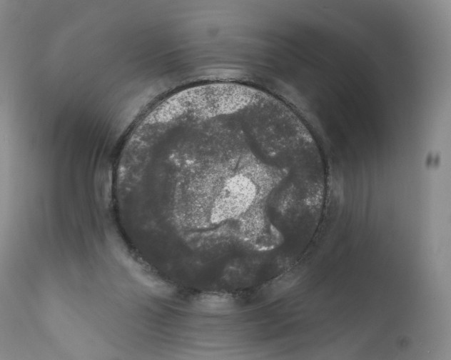 X0000112360110200909101307