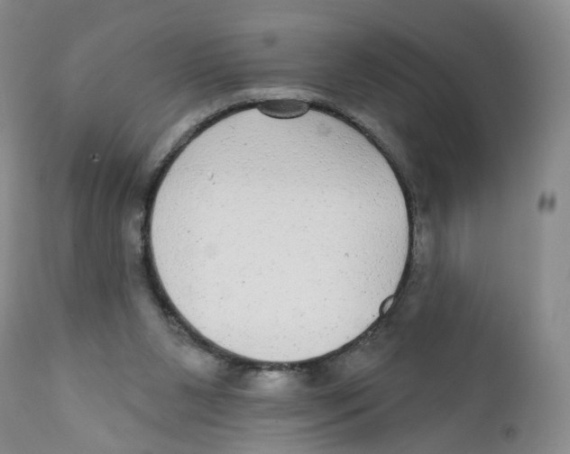 X0000112360111200909101307
