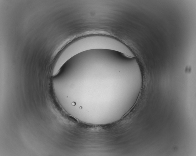 X0000112360112200909101307