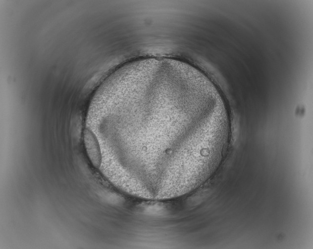 X0000112360113200909101307