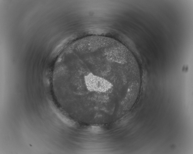 X0000112360114200909101307