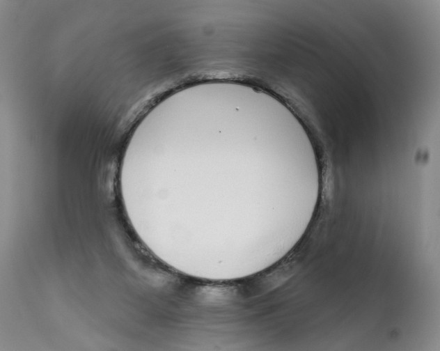 X0000112360115200909101307