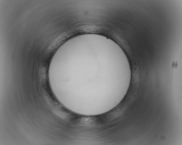 X0000112360117200909101307
